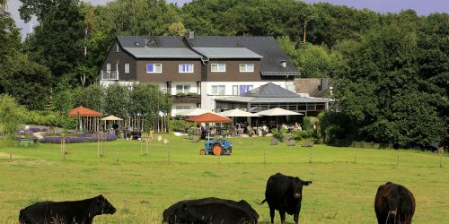 landidyll-hotel-birkenhof-klosterkumbd-airfect-kissen