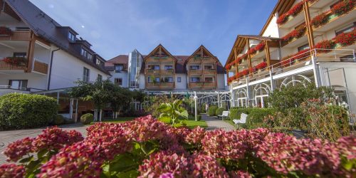 ringhotel-krone-schnetzenhausen-in-friedrichshafen-am-bodensee-airfect-kissen