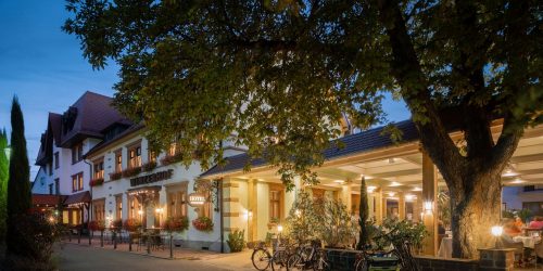 ringhotel-winzerhof-im-kraichgau-airfect-kissen-partner